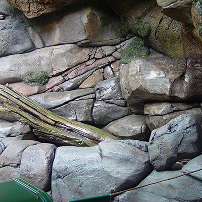 大连伊人情人综合网